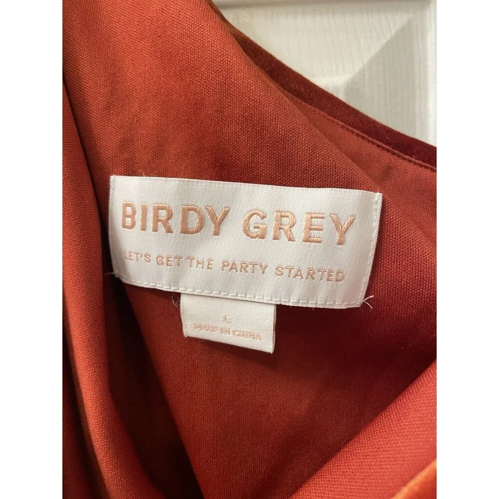 Birdy Grey Claudia Bridesmaid Dress Velvet Burnt Orange Maxi Size Large